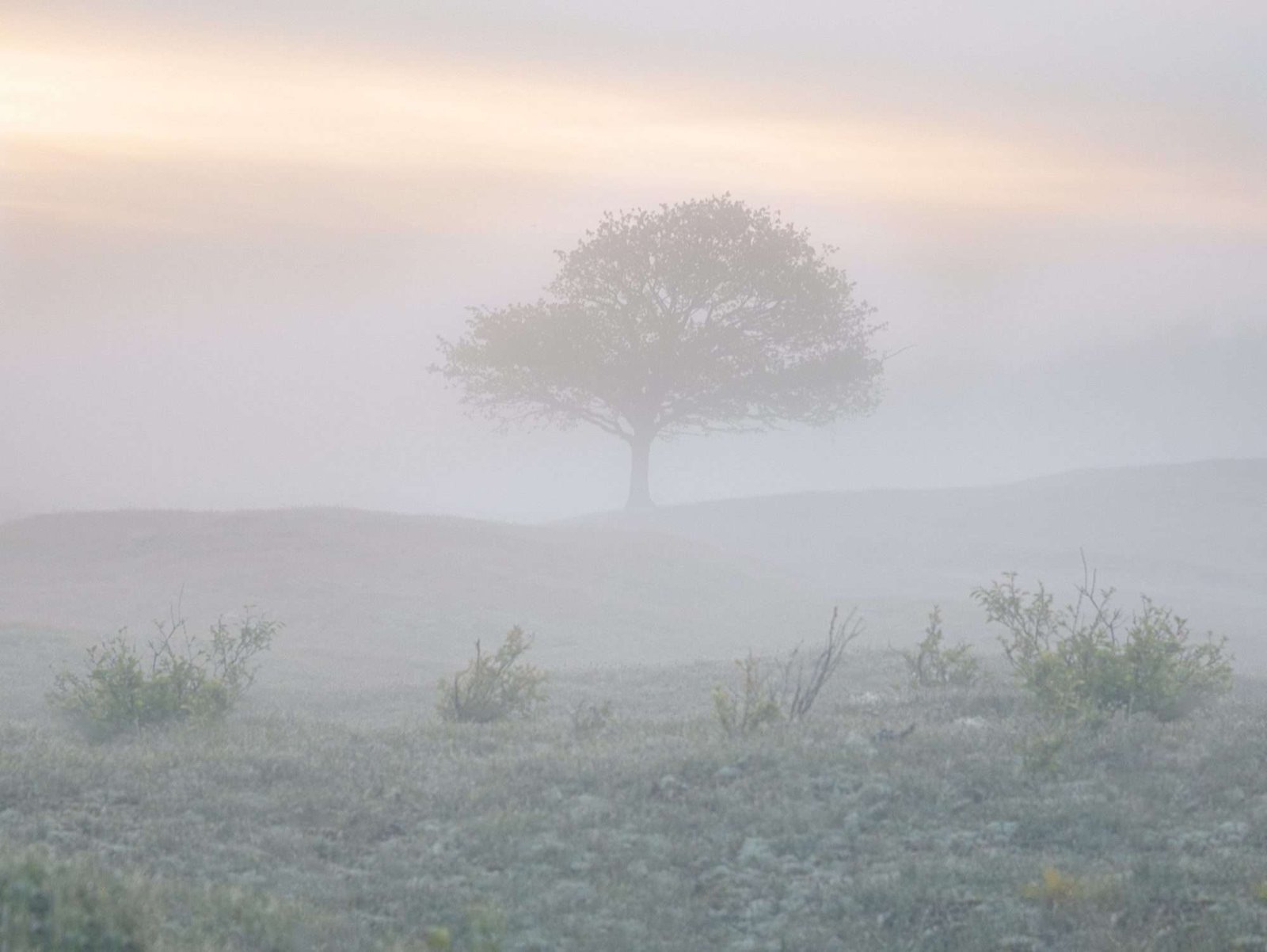 Oranjezon in de Mist, Horizontaal