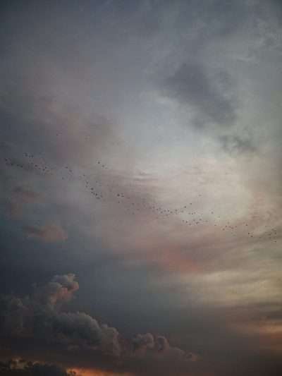 Kleurrijk wolkenveld II