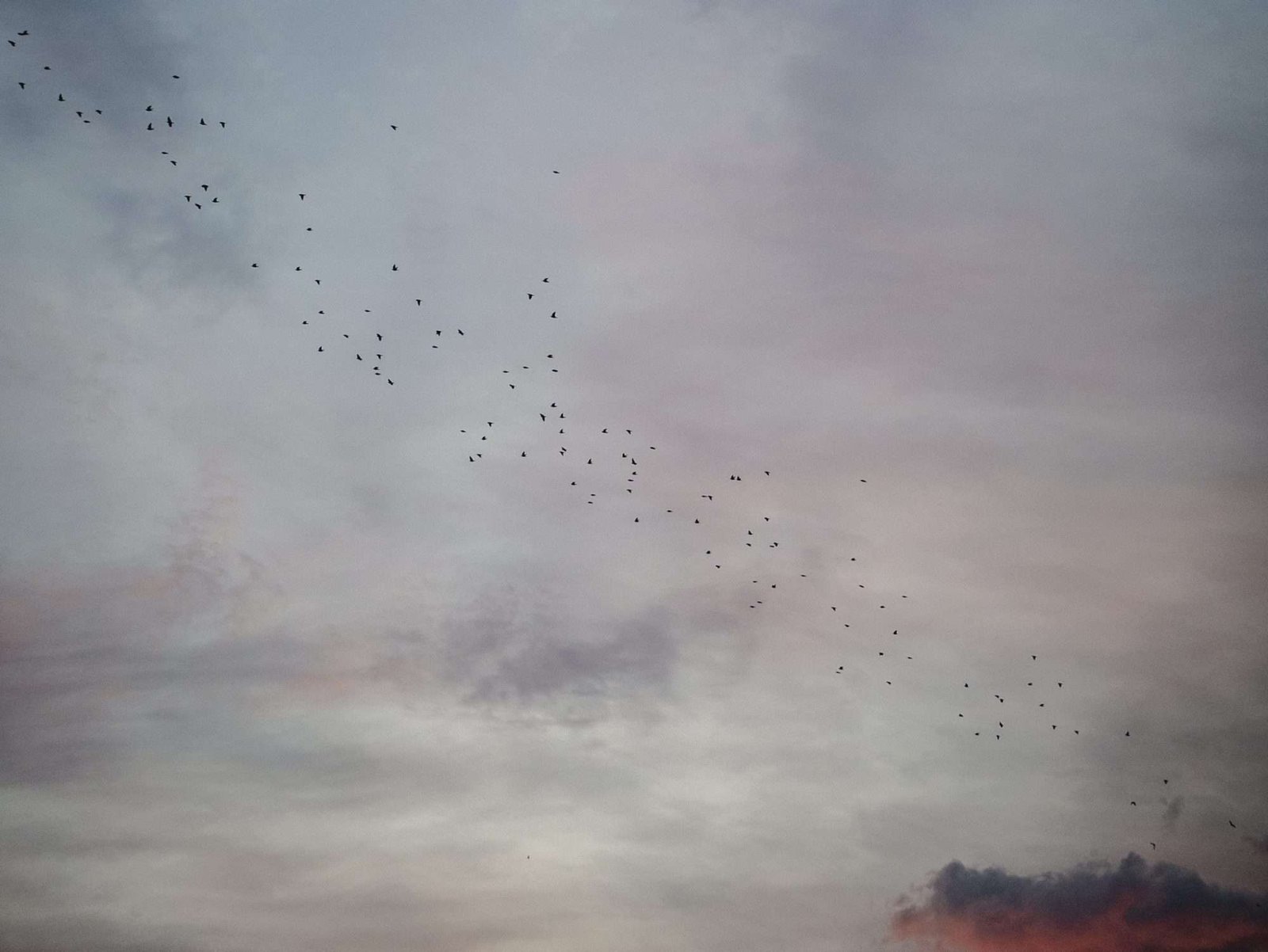 Kleurrijk wolkenveld, horizontaal