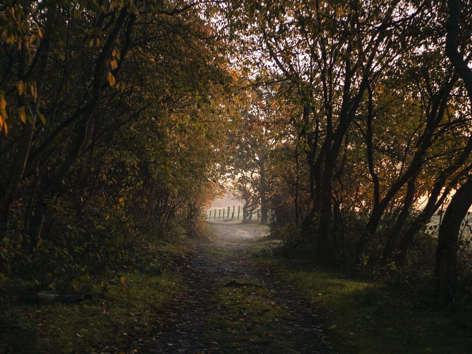 Tunnel der Natuur