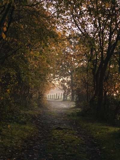Tunnel der Natuur
