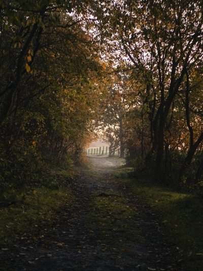 Tunnel der Natuur, verticaal