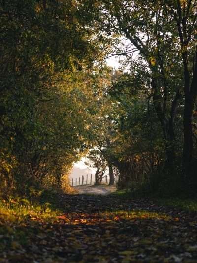 Tunnel der Natuur II