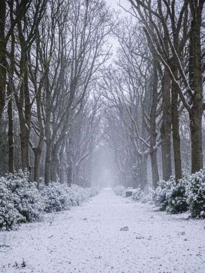 Winterse tunnel