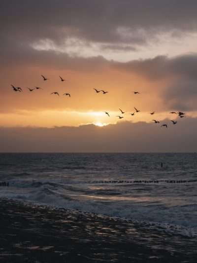 Zonsondergang aan de kust