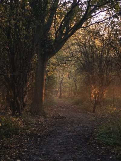 Zonsopkomst tijdens de herfst, Horizontaal