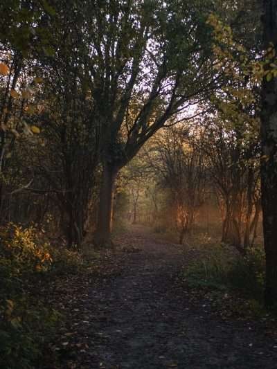 Zonsopkomst tijdens de herfst
